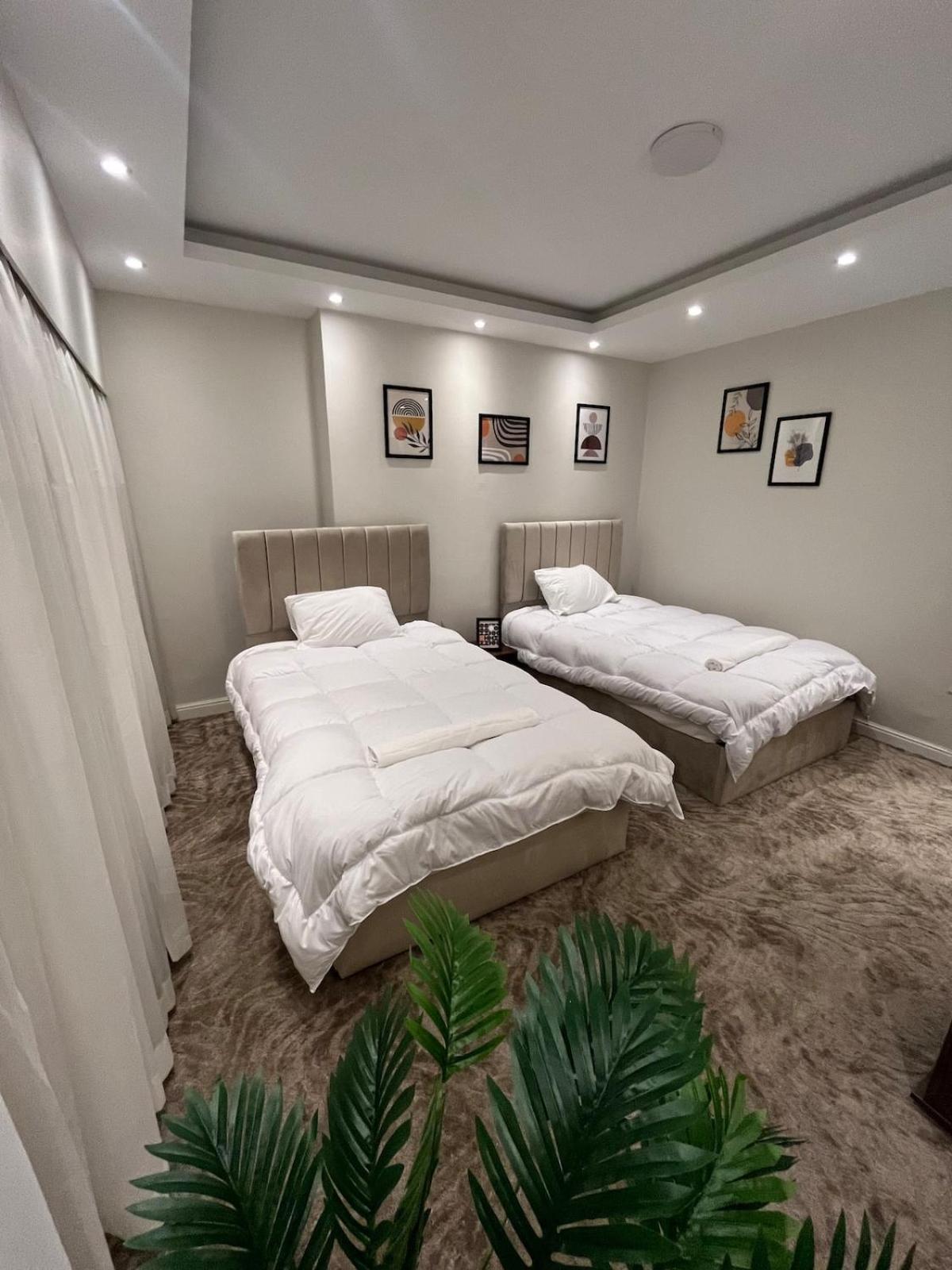 Queen Of Zamalek 3br Apartment Cairo